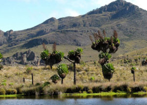 6-days-mount-elgon-hike-tour