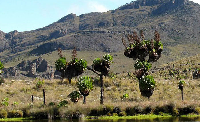 6-days-mount-elgon-hike-tour
