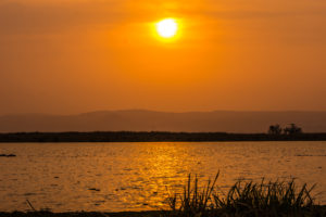 9 Days primates & wildlife