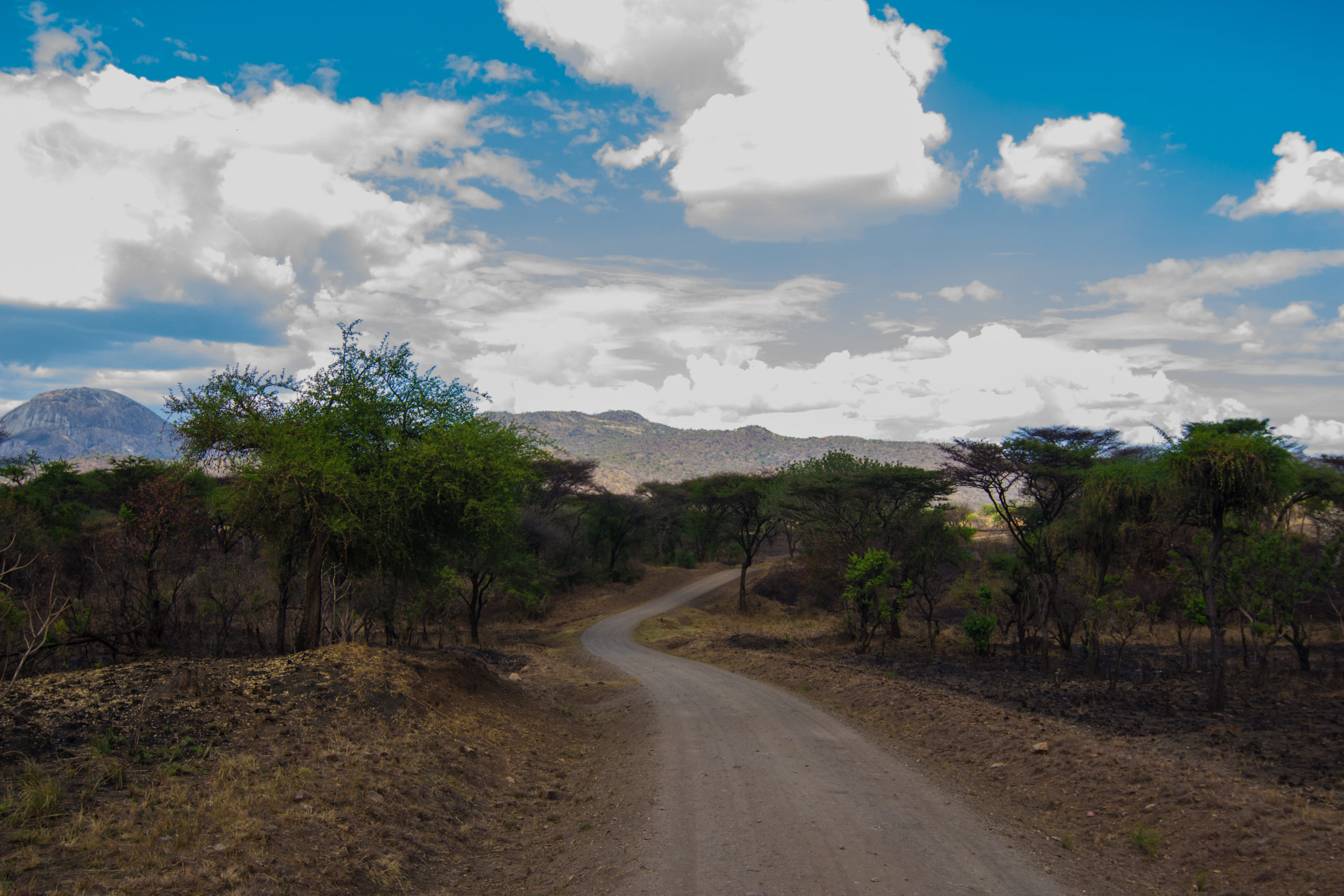 Facts About Rwanda