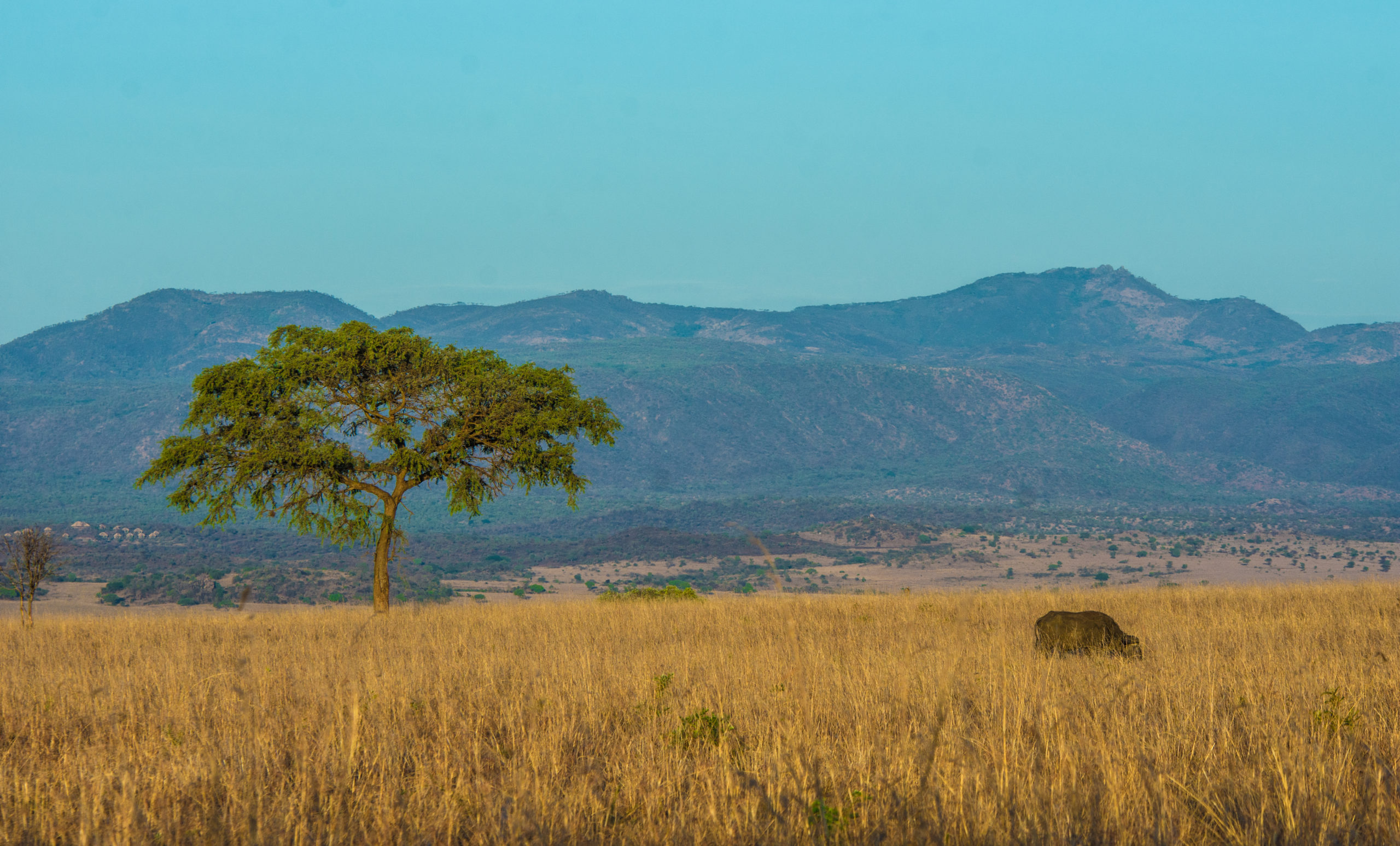 Tourist security in Rwanda