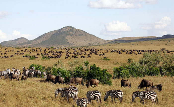 11 Days Tanzania Honeymoon