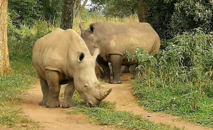 10 days Private Guided Tanzania