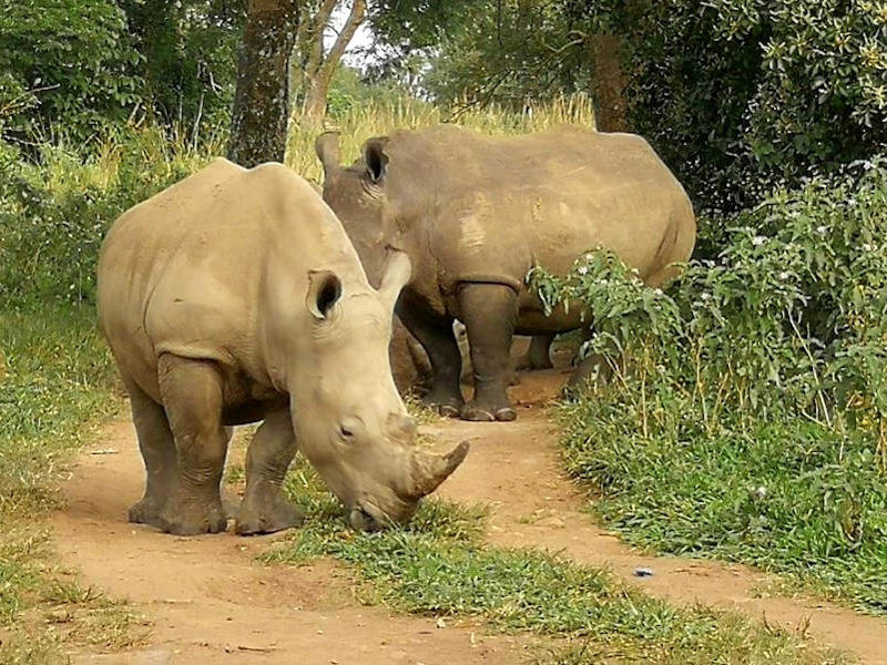 10 days Private Guided Tanzania