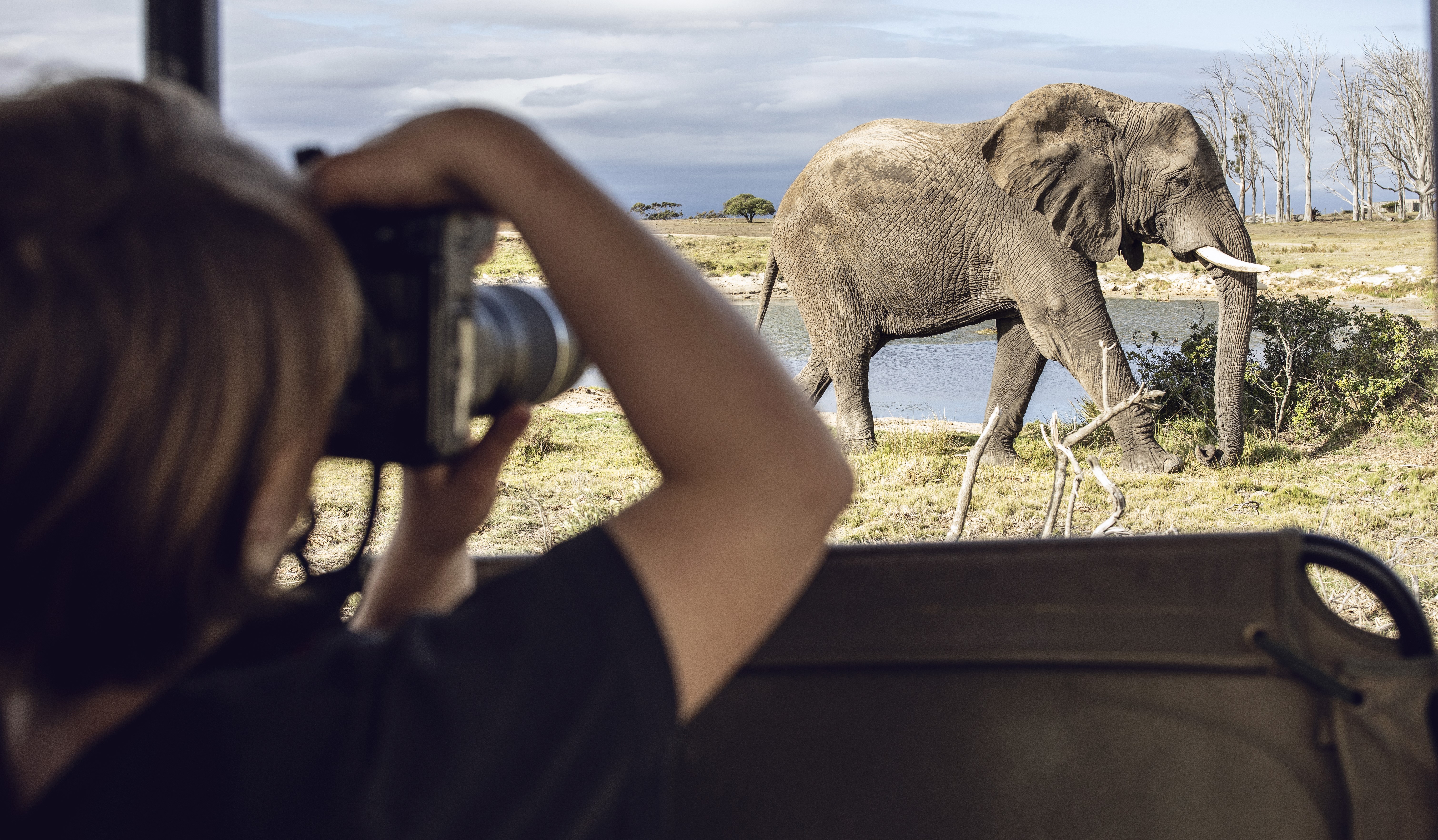 Back view of girl taking photo of an elephant