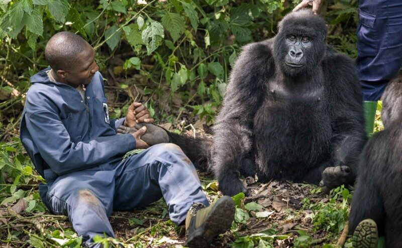 Dr Eddy and Ndakasi