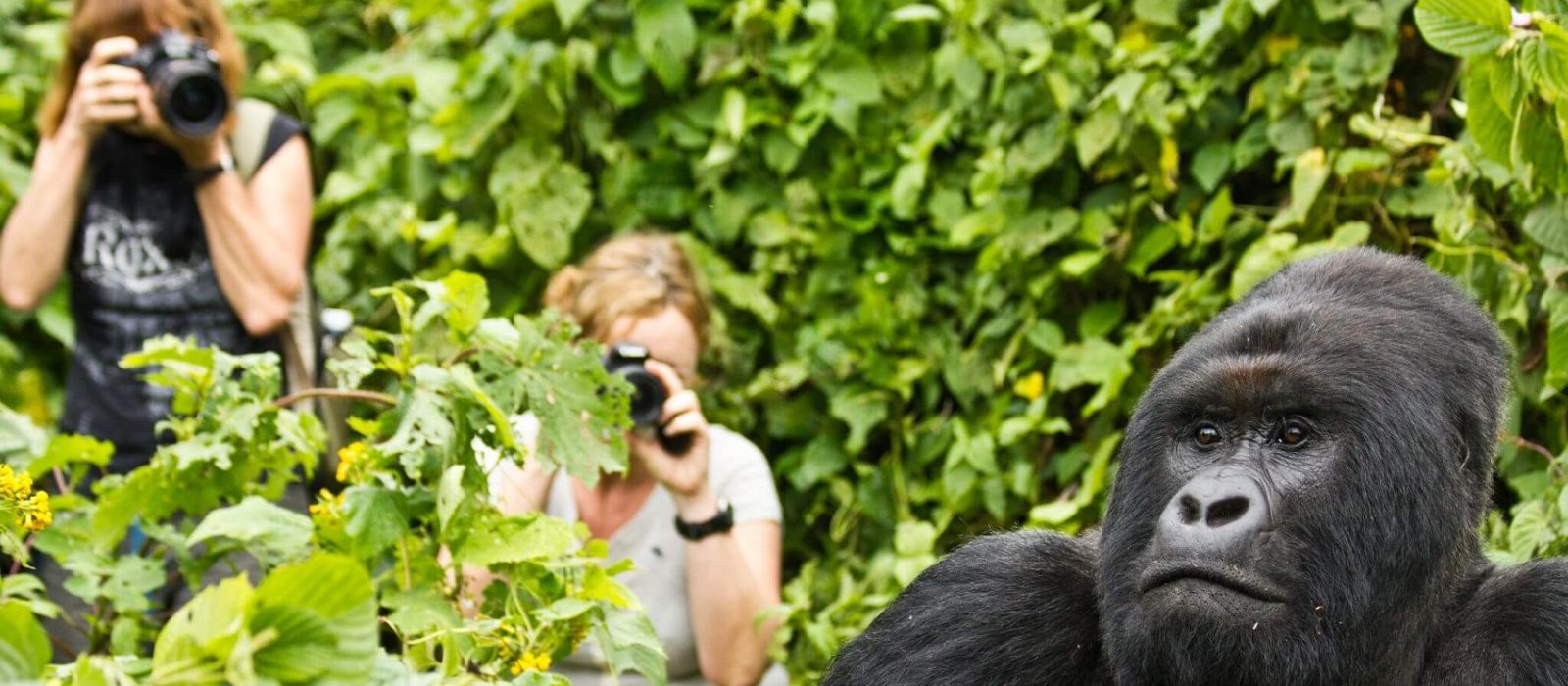 Can children go gorilla trekking?