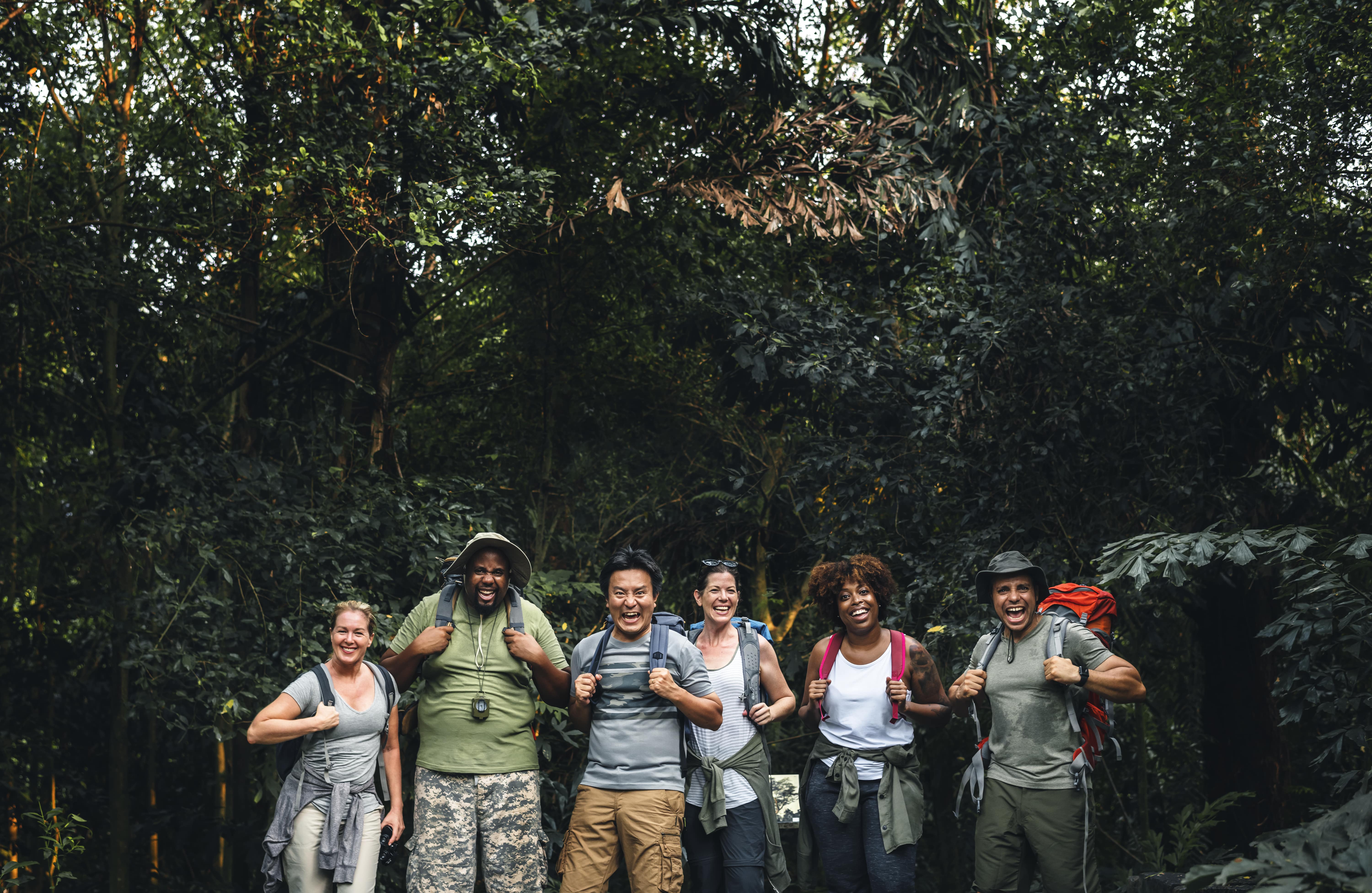 luxury gorilla trekking
