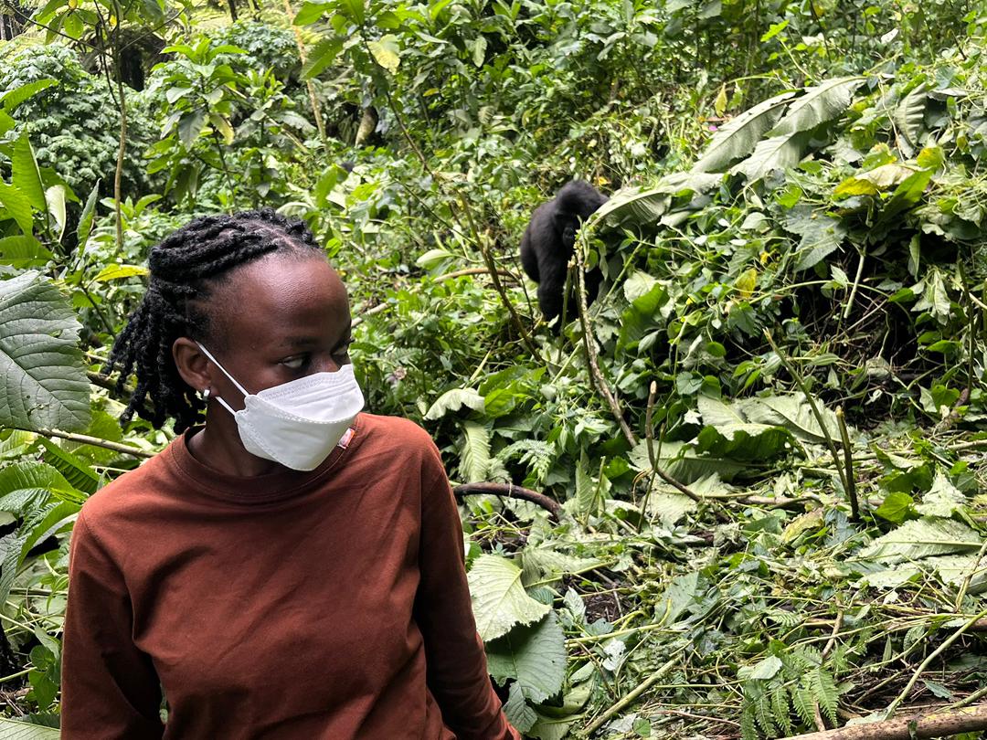 Travel insurance for gorilla trekking