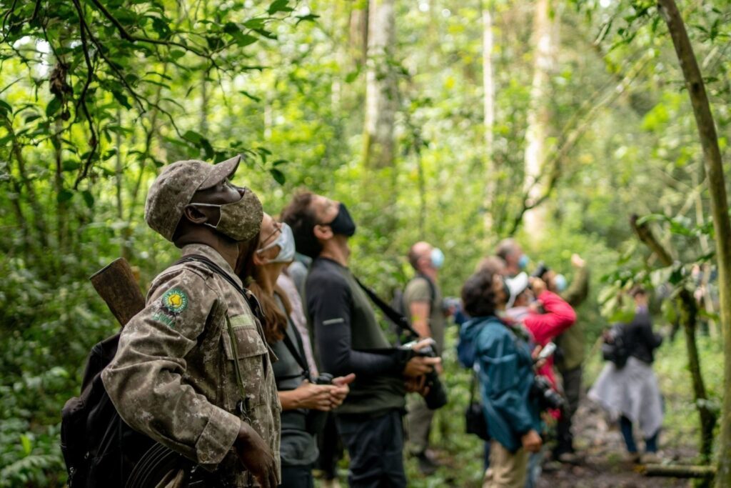 14 Days Rwanda & Uganda Gorillas, Chimps Safari Holiday 2026-2030