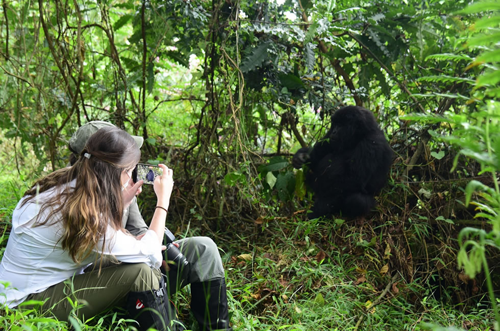 2 Days Gorilla Trekking Safari in Rwanda 2026–2030