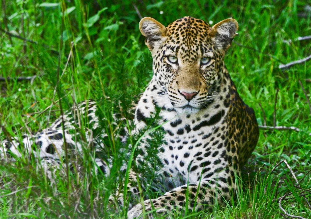 Lake Mburo NP