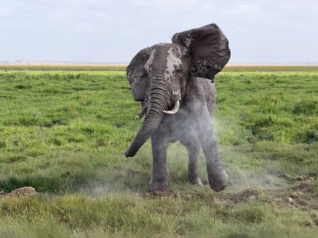 Tarangire NP